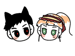 알렙카 관싹후기