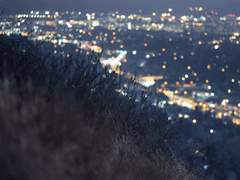 채션 / 이제는 나를 떠나보내려는 청춘에게 보내는 작별인사