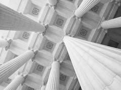 𝐴𝑐𝑎𝑛𝑡ℎ𝑢𝑠