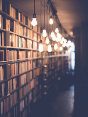 얼레벌레 학부생