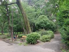 그래서 다음 이야기는요?