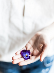 바람과 꽃의 이야기