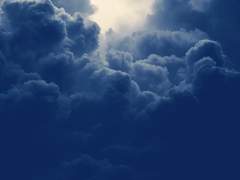 개도 상상력이 있고 꿈을 꾼다