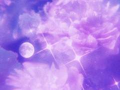 육등성 타로 후기