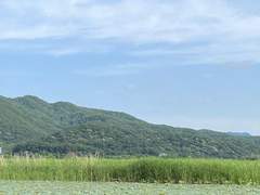 2일차. 올해가 끝나기 전 꼭 이루고 싶은 것은 무엇인가요?