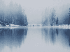 시나브로, 하나