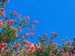 멀어진 그리고 지나간