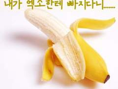 [질문] 가장 보고 싶은 유료 회차를 골라주세요