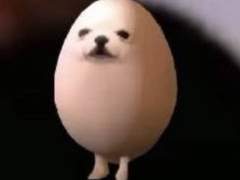 드림주의 병원 방문기