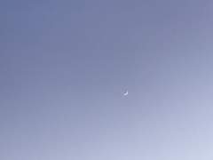 낭만 가득 파리에서의 겨울(1)