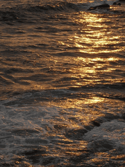 [도일희도] 소꿉친구가 XXX와 사귀는 것 같습니다