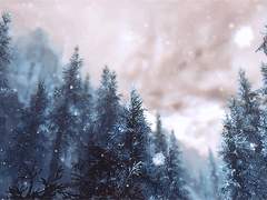 눈 밟는 소리 되게 좋지 않아?