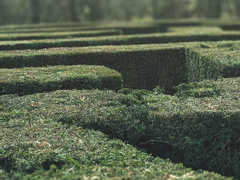 일호의 순수를 위하여 06