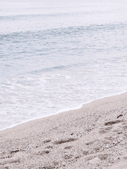 [ɴᴘs] 안녕 나의 봄