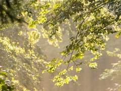 금이랑 ๑ 28세 ๑ XX