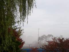 잔설화/외간 28/강철이/XY