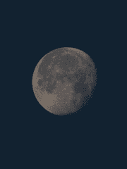 뭣도 아닌 사람의 감상문