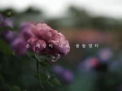 戀慕之情, 연모지정