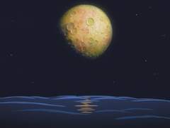 기억을 걷는 시간