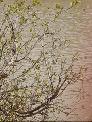 오키신 환생 시리즈