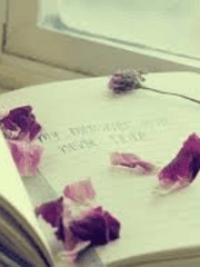 어떻게 사랑하지 않을 수 있겠어요