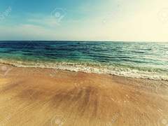 아이데쿠/ 뉴 삼바카