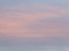 [그리고 찍고 끄적이고] 추억