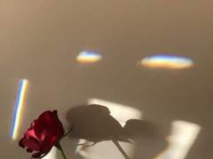 요한은 티테를 사랑한다