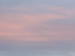 [그리고 찍고 끄적이고] 지압판