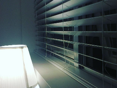 [단상] 그럼에도 다시 피어날 수 있음을