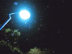 카게야치 모음집(~2023.02.20)