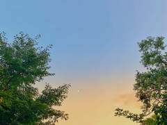 1일차. 내가 좋아하는 사람들은 어떤 공통점이 있나요?