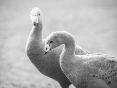 내게 애정과 허무를 준 이에게