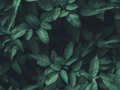 파판14-RP용 프로필