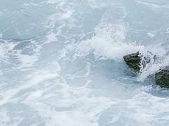 4일차. 요즘 나를 웃게 만든 사람은 누구인가요?