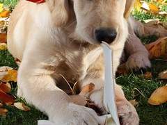 제9장/10장의 마법/이도은