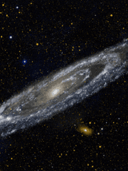 드림주 프로필&사진