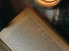 생선에게 고양이 맡기기