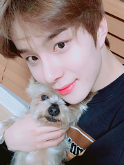 보고싶어, 오복아