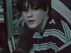 개새끼들 그리고 주인 B