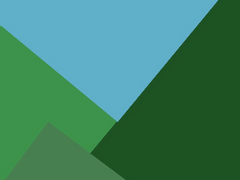 여름,그리고 너