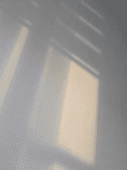 운수 없는 날, 아닌가?