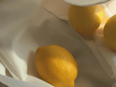 [쌍란고교 사교클럽 프로필]