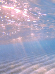 [BL] 안식을 원합니다