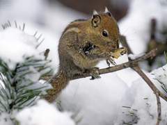 "아, 저번에 겨울 캠프때.. 친구였던가?"