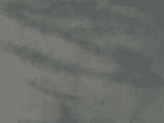 계절로 기억하기로 했다.