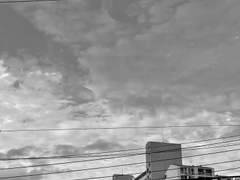 엄마에게 나는 무슨 존재일까.