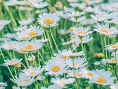 너에게 답하는 한마디