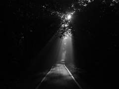 깊고 깊은 심연 속에서