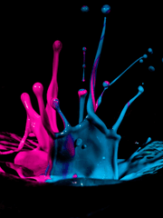 Profile. 엘 비트람